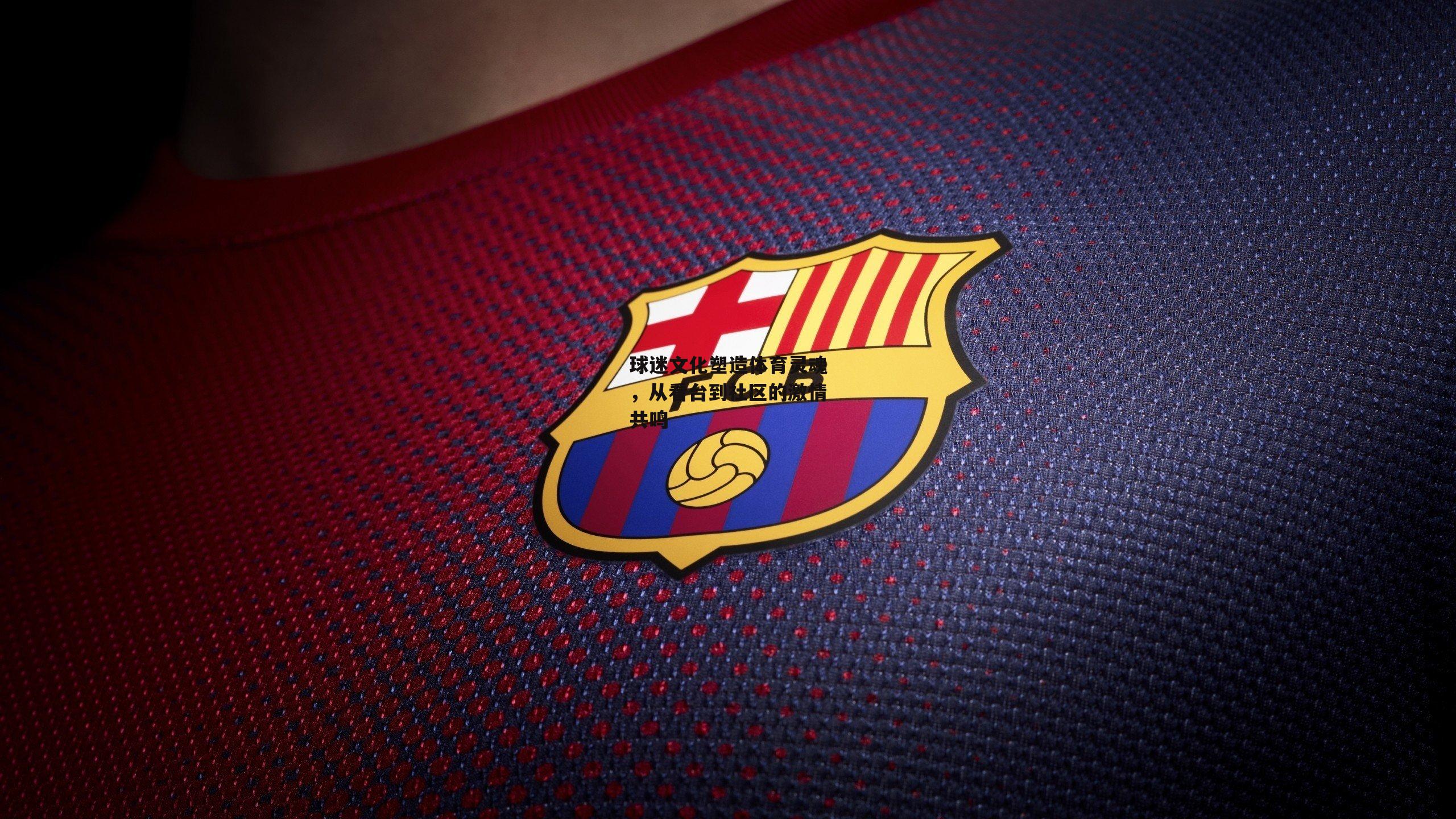 球迷文化塑造体育灵魂,从看台到社区的激情共鸣